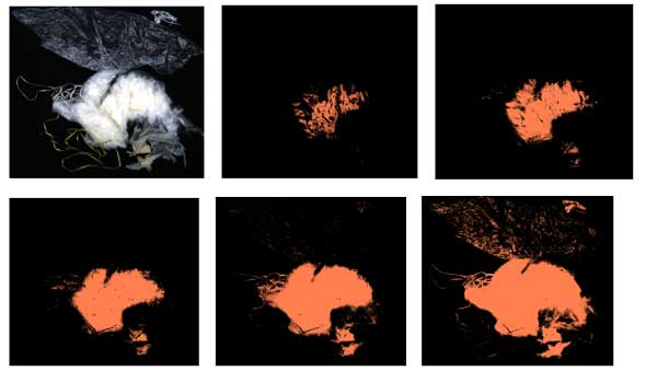 基于可见近红外技术的棉花、地膜快速识别研究