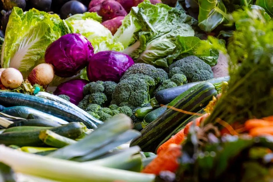 高光谱图像蔬菜和农药点光谱特性分析