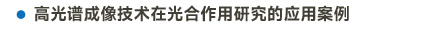 官方网站产品中心内页标题2样式编辑2-14.jpg