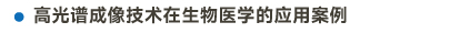 官方网站产品中心内页标题2样式编辑2-15.jpg