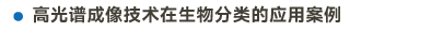 官方网站产品中心内页标题2样式编辑2-16.jpg