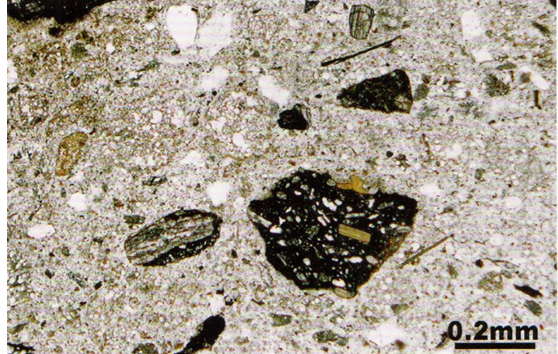 录井专用型激光诱导击穿光谱仪测定岩屑中的8种元素