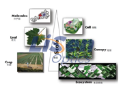传感器光谱指标对植被光谱模拟精度的影响