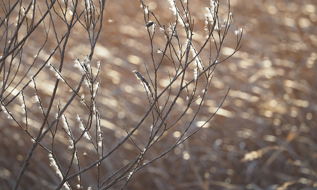地物光谱仪设计的优点