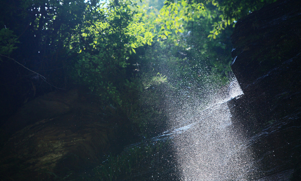 地物光谱仪的实用领域