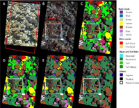 高光谱、多光谱及超光谱的区别