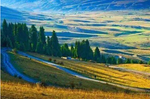 基于遥感技术的森林健康研究概述