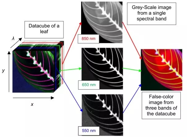 光谱成像技术应用