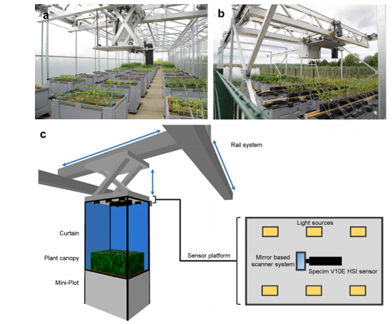 高光谱表型监测平台监测实时作物病害