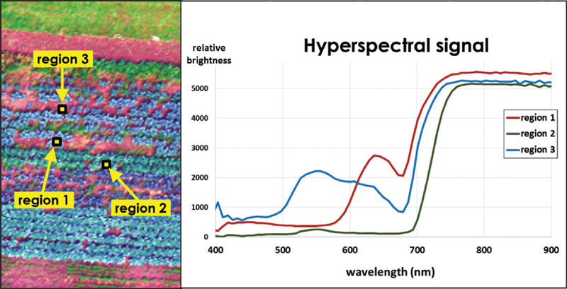高光谱成像仪越来越受欢迎的主要原因
