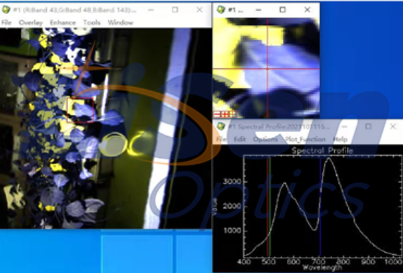 高光谱成像技术在族谱印记中的应用案例