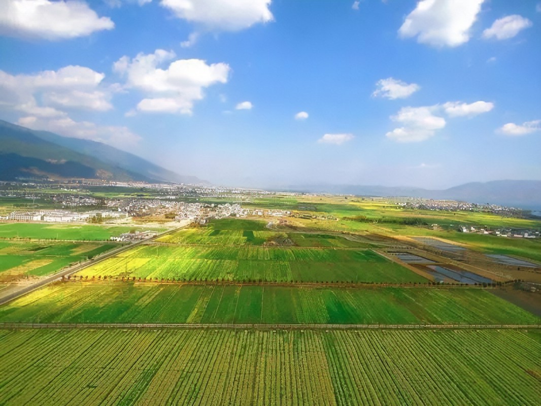 旋翼无人机的农业低空高光谱遥感技术分析