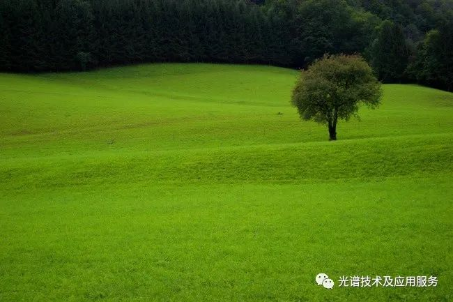  利用高光谱技术进行草地地上生物量估测 
