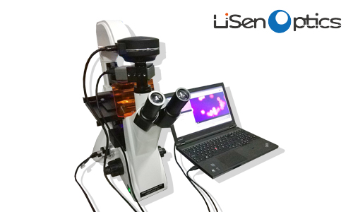 高光谱显微成像系统的技术优势是什么？