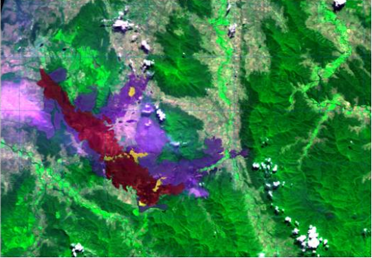 基于遥感技术的森林健康研究概述