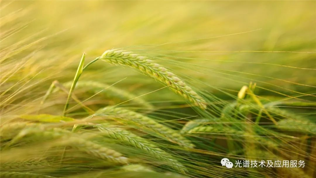 高光谱遥感在精准农业生产中的应用