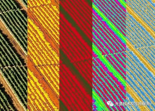 高光谱图像特征提取方法综述