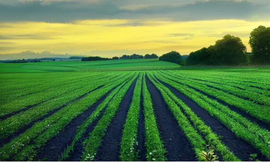地物光谱仪在现代农业领域的应用