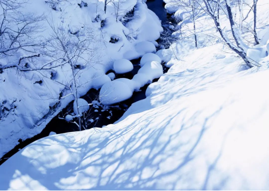 南方冬季湿雪的光谱特征分析