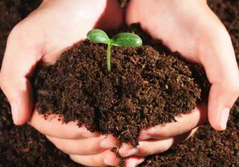 基于无人机高光谱遥感和机器学习的土壤水盐信息反演V2.0