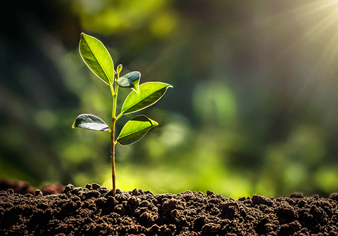 基于无人机高光谱遥感和机器学习的土壤水盐信息反演V1.0