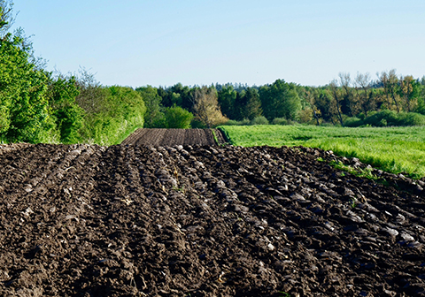 四川西昌学院地物光谱仪土壤反射测量