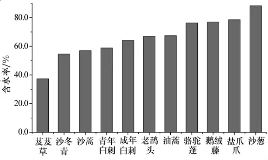 图片119.png