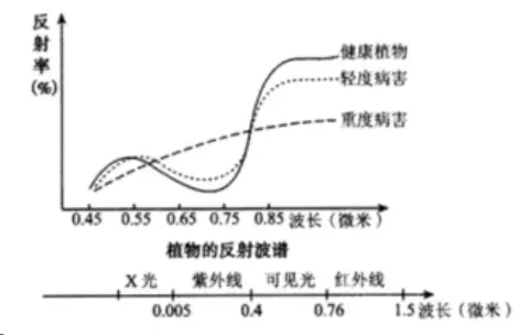 图片138.png