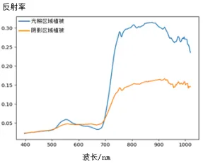 图片13.png