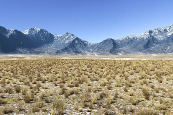 基于光谱信号特征的草原退化地物分类研究