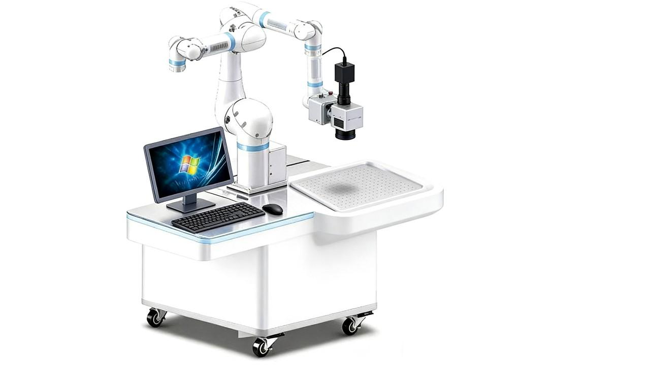 动物用飞秒激光生物材料处理系统