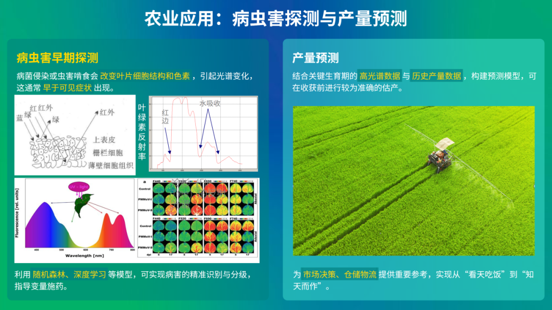 莱森光学携高光谱技术出席“智能生态监测网：AI与大数据赋能的关键技术与台站实践”技术交流会，赋能智慧农林业转型升级