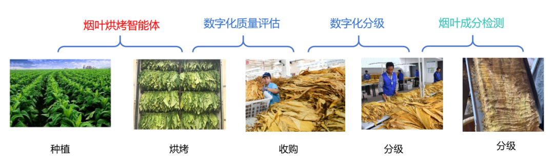 烟叶素质光谱分析仪