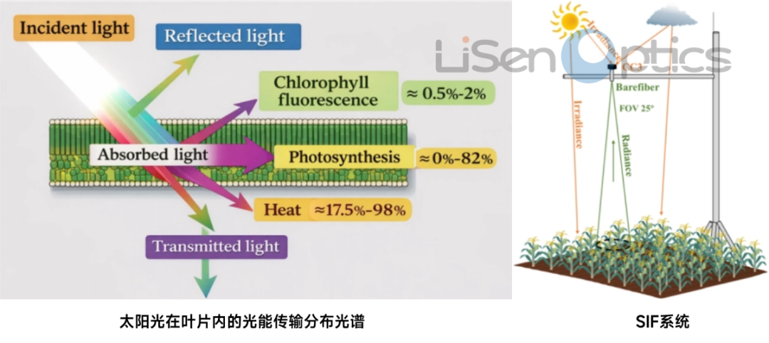 SIF 日光诱导荧光观测系统