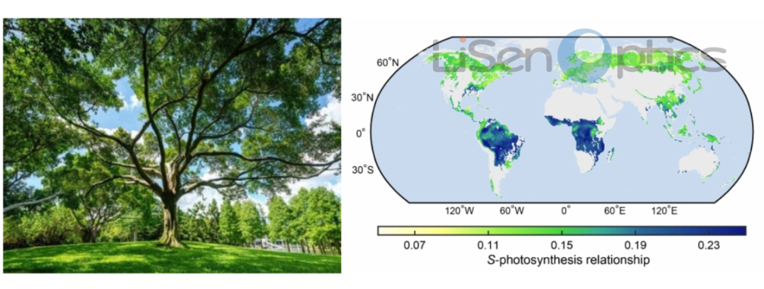 SIF 日光诱导荧光观测系统