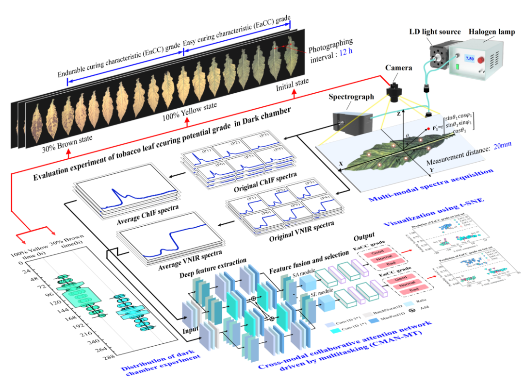 烟叶素质光谱分析仪