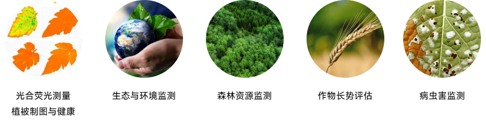 SIF 日光诱导荧光观测系统