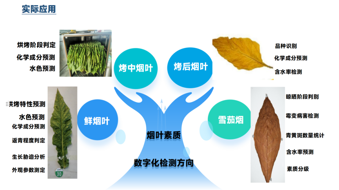 烟叶素质光谱分析仪