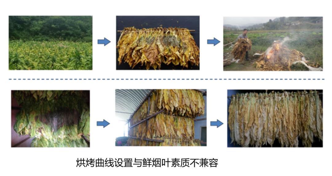 烟叶素质光谱分析仪